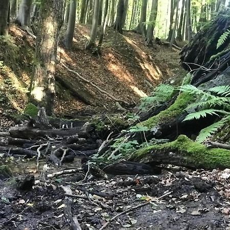 Homelig Altstadt Ferienwohnungen Sassnitz Fewo 4 Luaran gambar