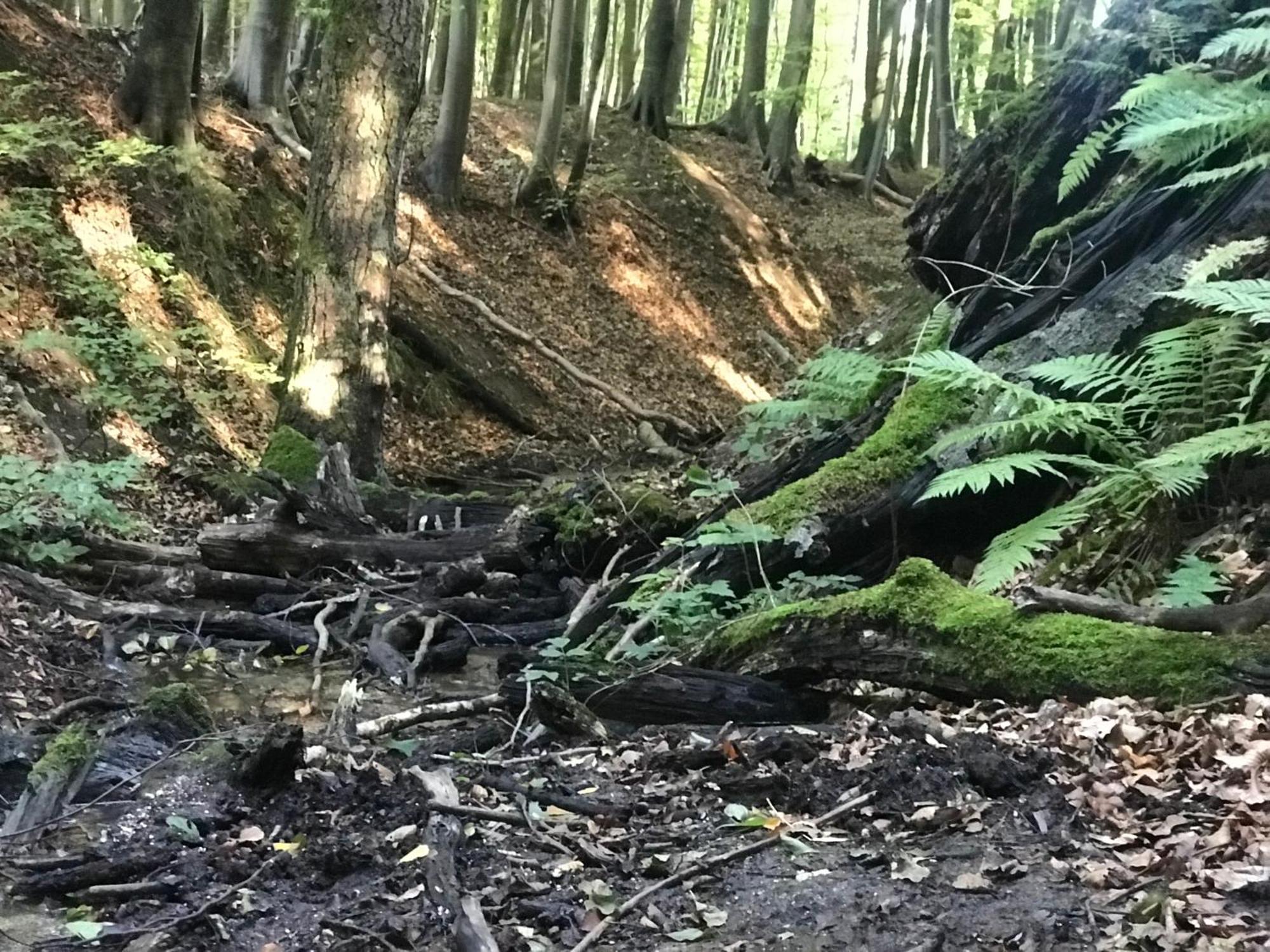 Homelig Altstadt Ferienwohnungen Sassnitz Fewo 4 Luaran gambar